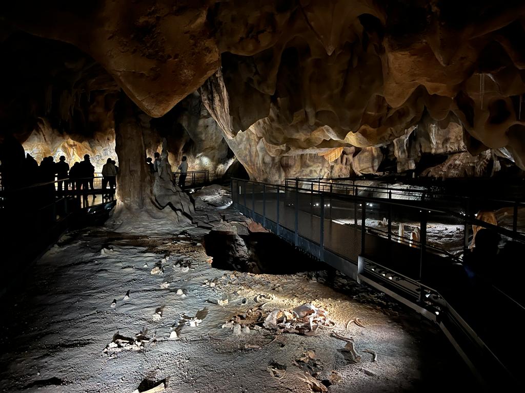 Visites de la grotte Chauvet pour les élèves de 6e – octobre 2022