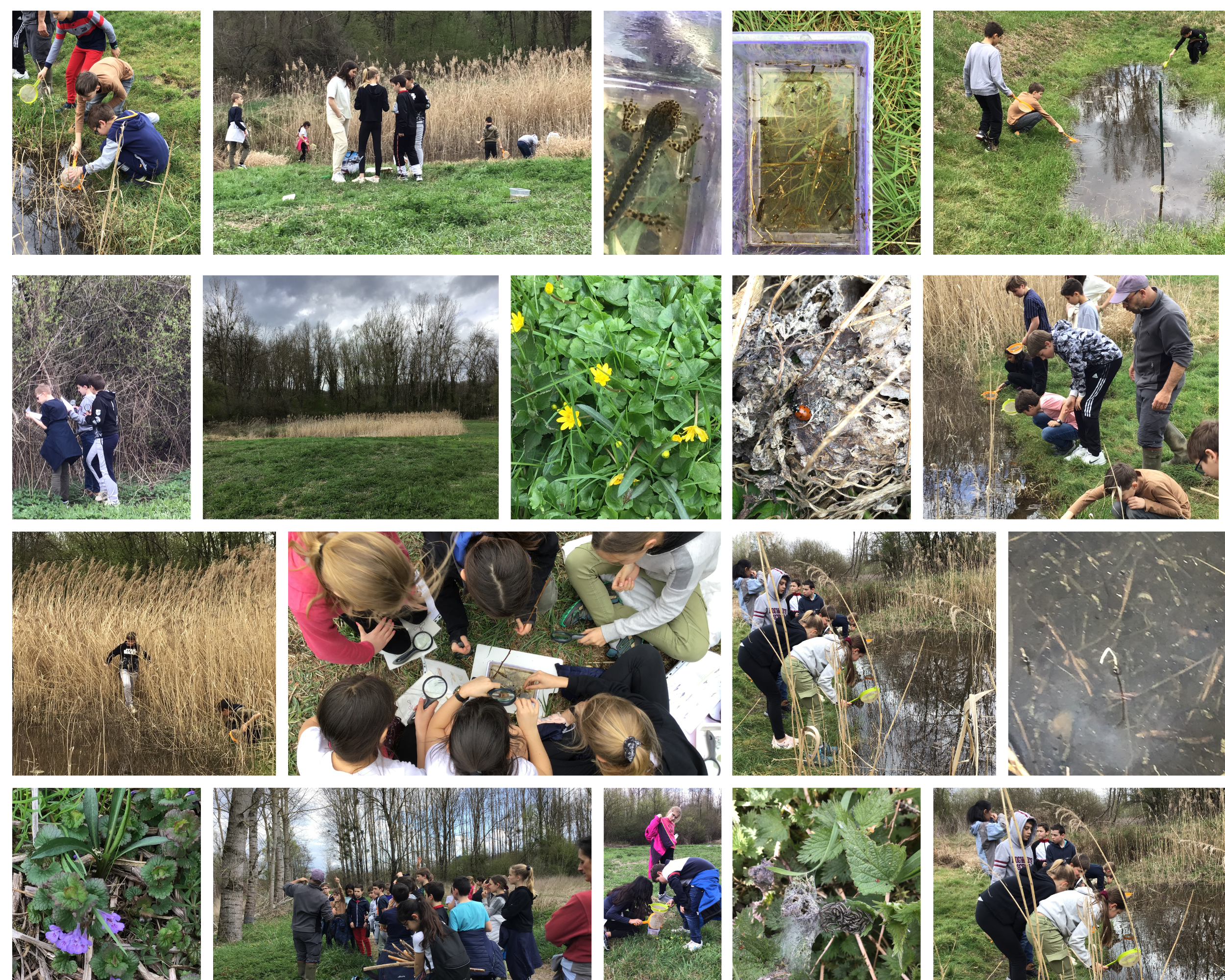 Sortie au marais de St-Jean pour les élèves de 6e du Projet Sciences